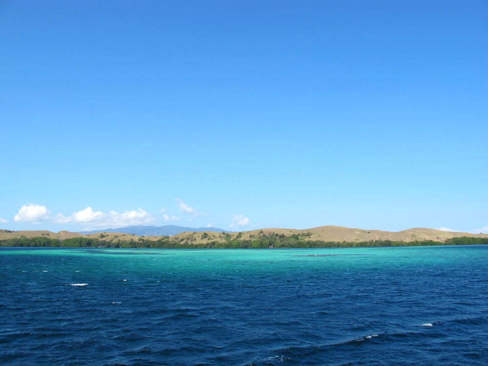 Warna warni Laut Flores Barat yang Memukau