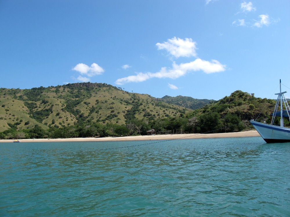 Warna warni Laut Flores Barat yang Memukau 4