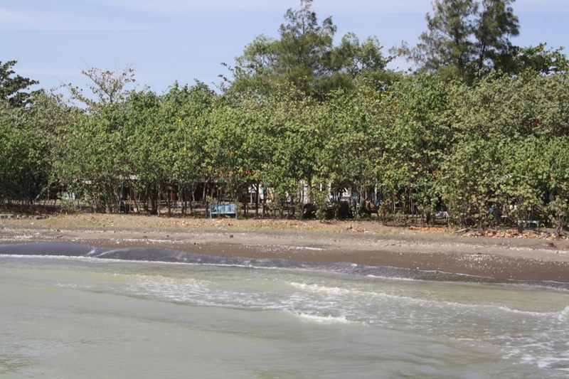 Inilah Pantai Berpasir Hitam Paling Halus di Tegal