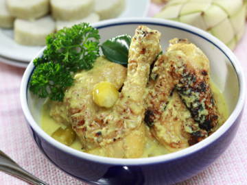  Resep Ayam Opor  Ayam  Bakar