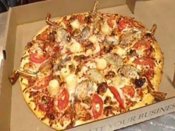 Mamma Mia! Everglades Pizza, Pizza Bertopping Daging Ular Python Mamma Mia! Everglades Pizza, Pizza Bertopping Daging Ular Python