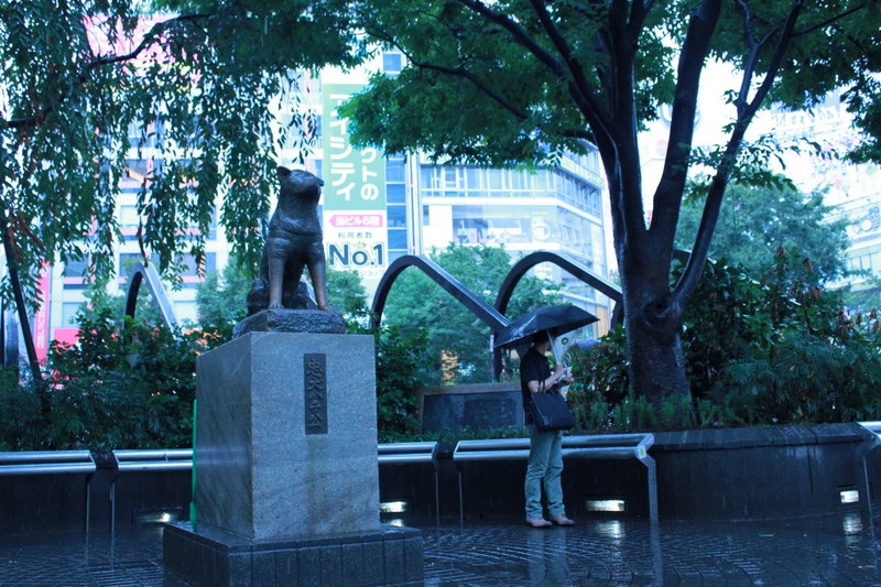 Monumen Anjing Hachiko & Kesetiaan yang Mengharukan