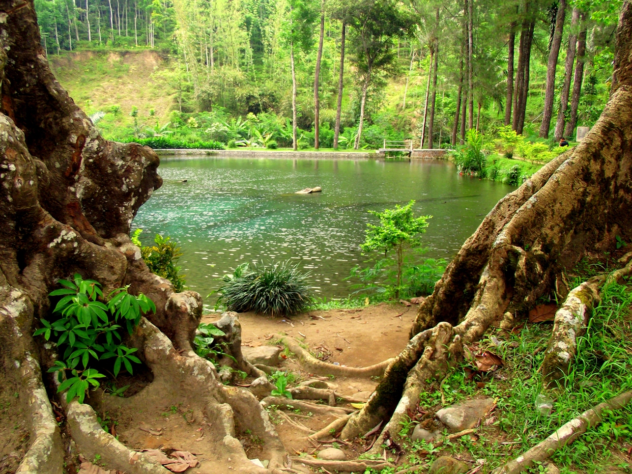 Rambut Monte, dari Telaga Sampai Legenda Ikan Dewa - 5