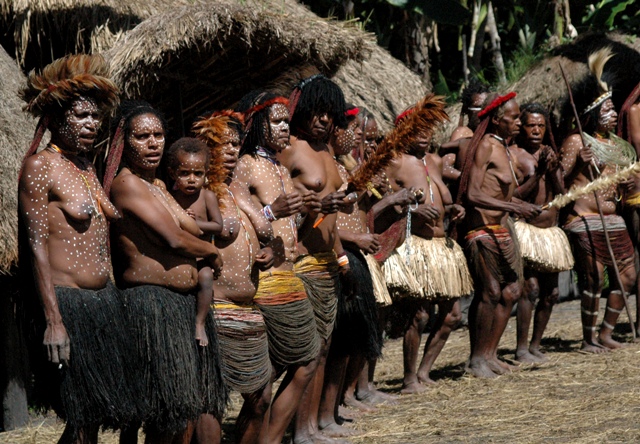 Suku Dani di Papua  Punya Kostum  Adat  yang Keren 7