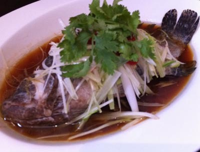 Resep Seafood: Steamed Garoupa Fish with Superior Soya Sauce Resep Seafood: Steamed Garoupa Fish with Superior Soya Sauce
