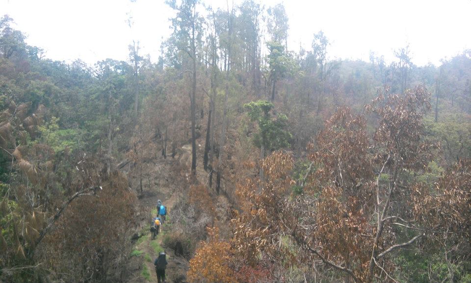 Ada iIstanai Dewi Rengganis di Puncak Gunung iJawai iTimuri 3