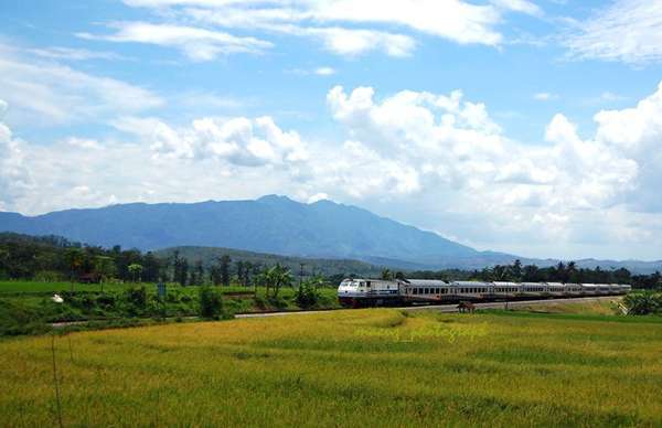 Jalur Kereta di Jawa dengan Pemandangan Paling Indah