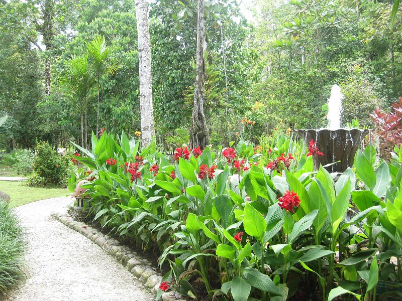 Siapa Sangka, Ada Hotel Mewah di Tengah Hutan Rimba Papua - 3