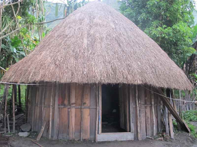 Ini Rasanya Tidur di Rumah Jamur Asli Papua