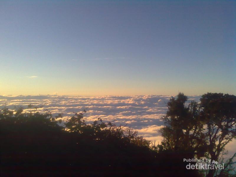 Gunung Cikuray, Negeri di Atas Awan - 2