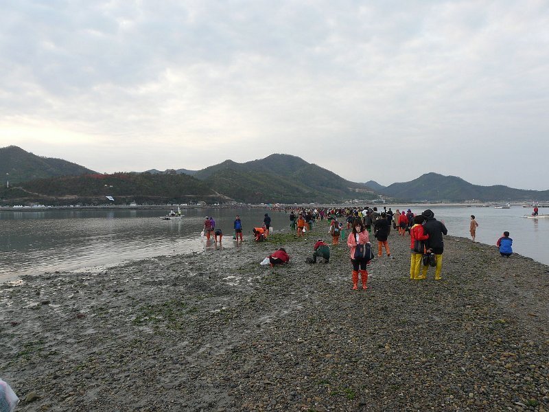 Hasil carian imej untuk laut jindo Korea, laut terbelah