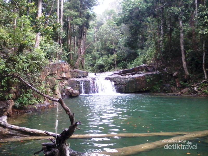 Hutan Pancur, Oasis Tersembunyi di Kota Batam