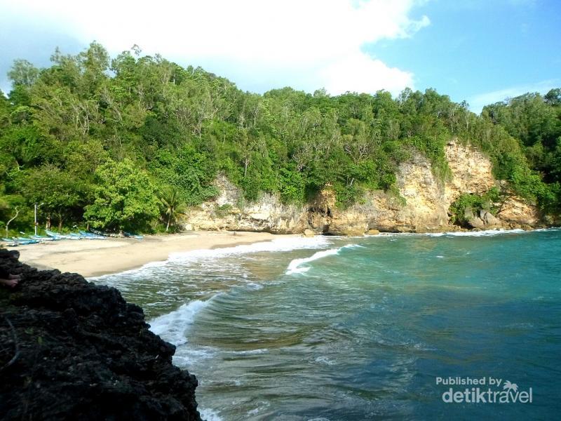 Unik Batu Berbentuk Ikan  Paus  di  Pantai  Bakung Pacitan