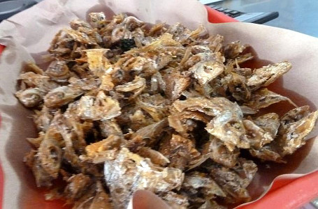  Ikan  Manyung dan Ikan  Layang Jenis Ikan  Laut Populer 