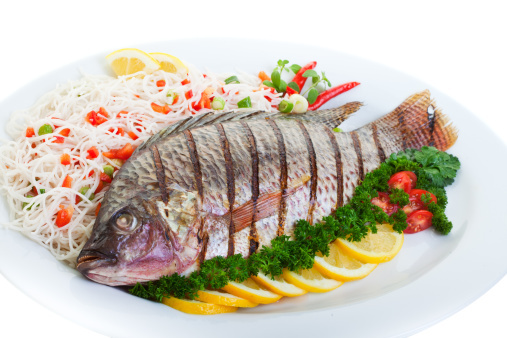 Ikan Gurami dan Lele, Ikan Air Tawar yang Gurih Enak Ikan Gurami dan Lele, Ikan Air Tawar yang Gurih Enak
