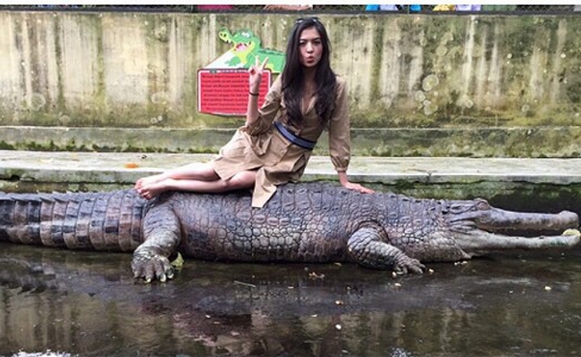 Taman Satwa Pematang Siantar, Tempat Liburan Si Cantik ...