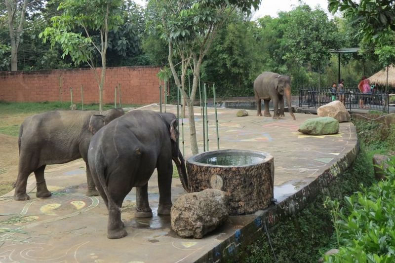 Batu Secret Zoo, Kebun Binatang Ala Luar Negeri - 8