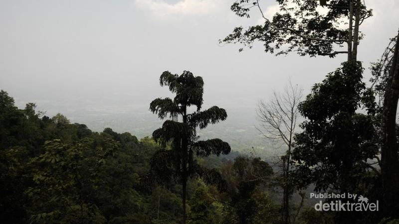 Aseupan, Gunung Mistis Habitat Kantong Semar di Pandeglang