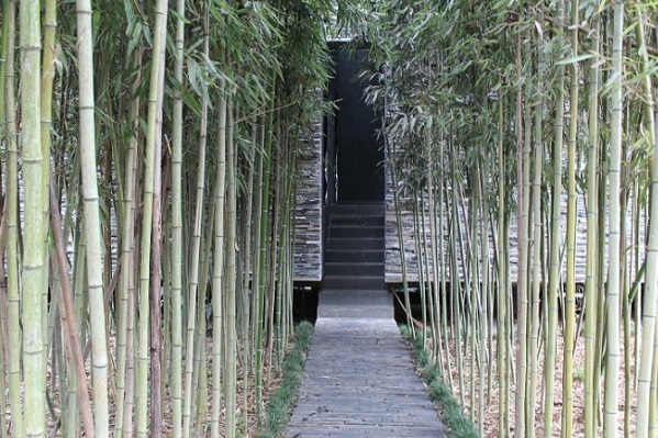 hutan bambu di tiongkok ini sembunyikan taman taman unik hutan bambu di tiongkok ini sembunyikan taman taman unik