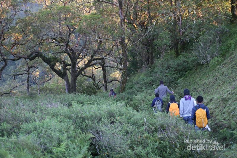 Mau Mendaki di NTT Coba ke Gunung  Mutis 