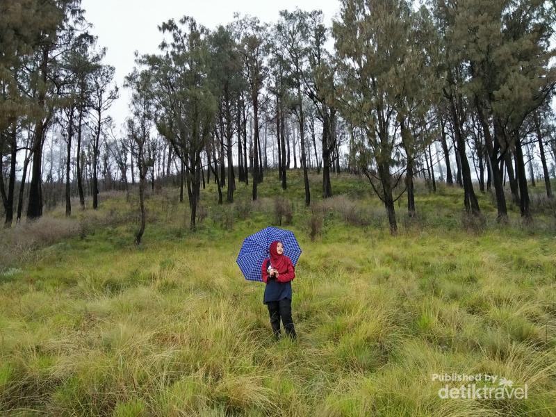 Perjalanan Tak Kenal Lelah Menuju Puncak Gunung Lawu