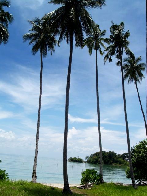 Dari Pantai Pasir Panjang hingga Komunitas Adat Terpencil Dari Pantai Pasir Panjang hingga Komunitas Adat Terpencil