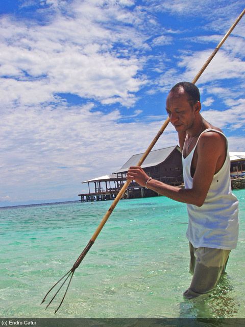  Cara  Menangkap  Ikan  Khas Indonesia Akuarium Ikan  Hias