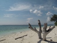 Pantai Pulau Adranan Pantai Pulau Adranan