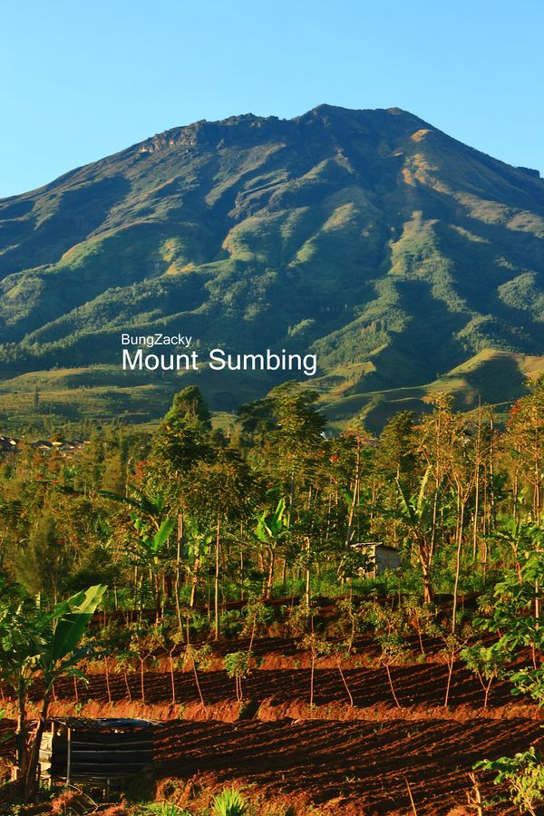 Melihat Gunung Sumbing Lebih iDekati 5