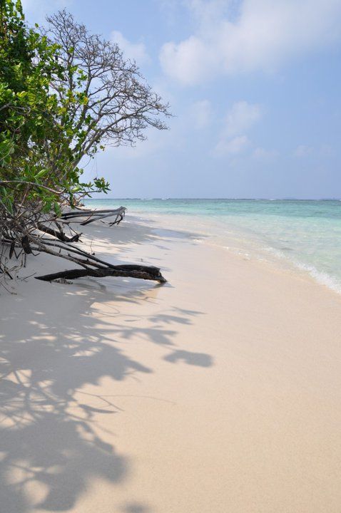 Asyik Bisa Jalan jalan Murah ke Karimunjawa 2