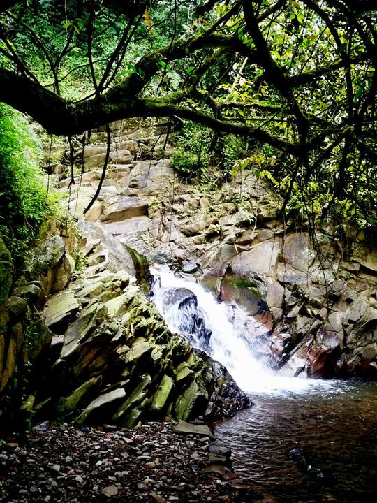 Capolaga, Surga Tersembunyi di Tangkuban Perahu