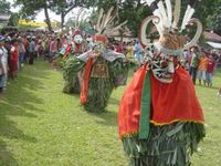  Hudoq  Tarian Magis Pengusir Hama ala Suku Dayak Bahau