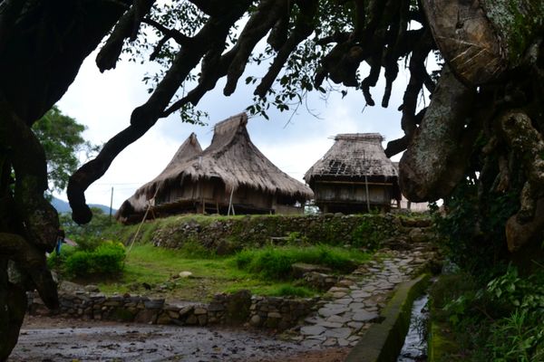 Kembali ke Masa Lalu di Kampung Tradisional Wologai, NTT