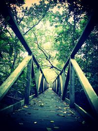 Serunya Telusuri Hutan Mangrove Margomulyo Balikpapan