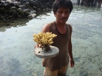 Pak Deni dan terumbu hasil budi daya miliknya (dok. Putri/detikTravel) Pak Deni dan terumbu hasil budi daya miliknya (dok. Putri/detikTravel)
