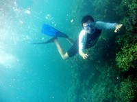 Keindahan bawah laut Pulau Pahawang Keindahan bawah laut Pulau Pahawang