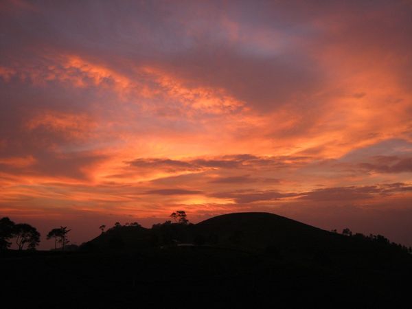 Senja Cantik di Kebun Teh Karanganyar Jateng