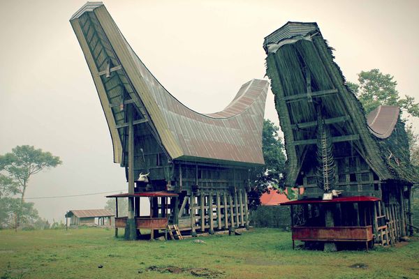 Cerita Rumah Adat Toraja - Rumah Zee