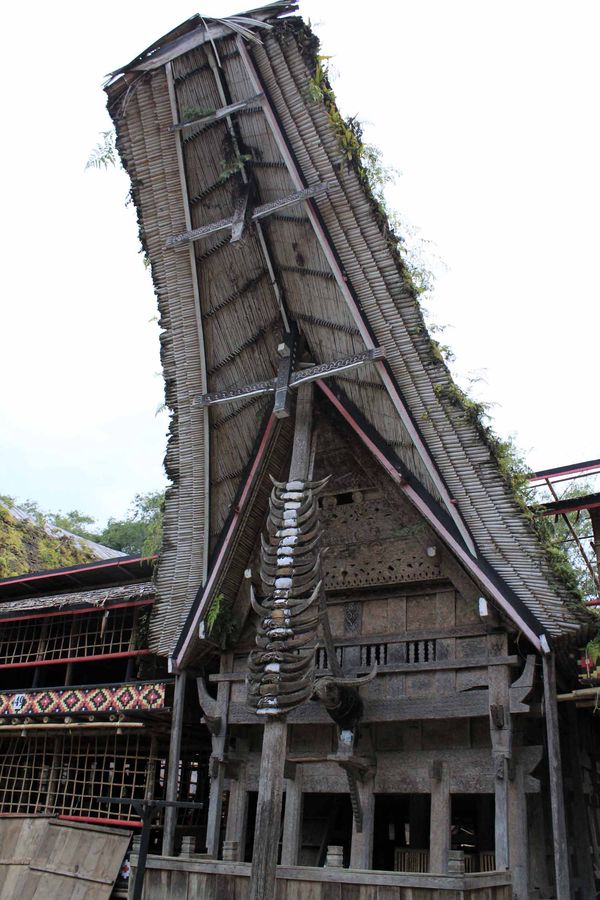 Gambar Rumah Adat Tanah Toraja - Mainan Anak