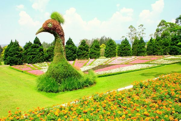 Gambar Pemandangan Warna Sejuk Halloween Pertama Dilihat Masuk Taman Bunga