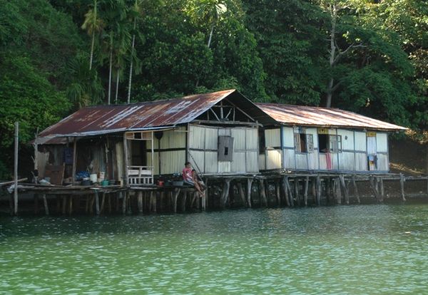 Rumah-rumah Harmonis di Tengah Danau Sentani - 3