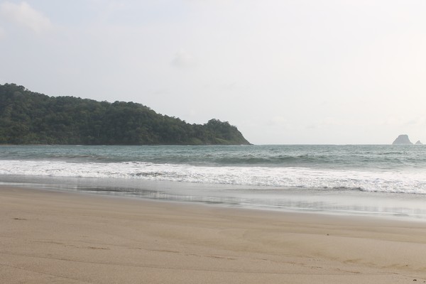 Pantai Nagellan, Mutiara Tersembunyi di Jember