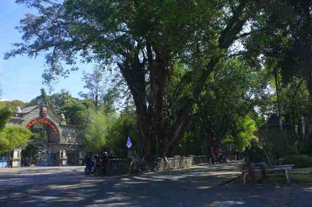 Mengenal Sriwedari, Taman Cantik Tempat Istirahat Raja Solo