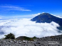 Gunung Merapi, Pesona yang Tak Hilang Pasca Erupsi