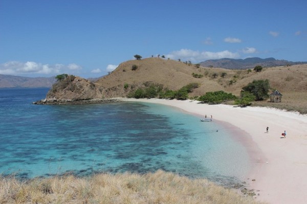 Uniknya Pantai Pink di Pulau Komodo