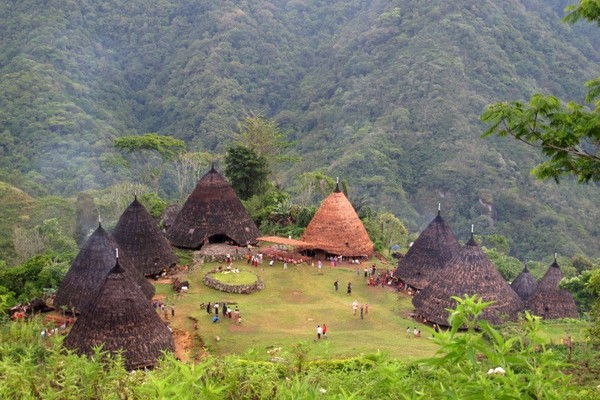 Wae Rebo adalah kampung adat di Manggarai Tengah, Flores, NTT. Rumah 