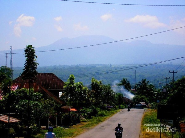 Beruntung Melihat Bunga Raflesia Sedang Mekar di Bengkulu