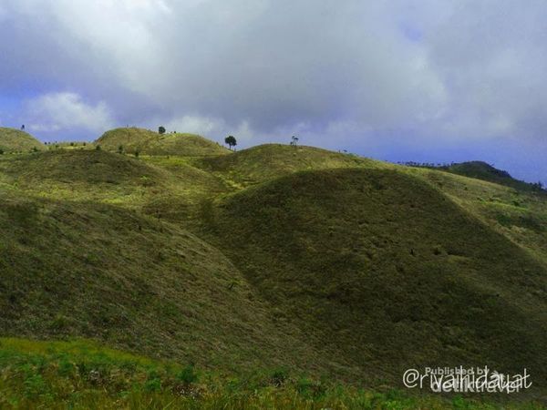 Bukit Teletubbies Juga Ada di Gunung Prau