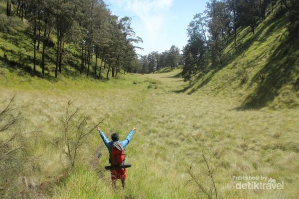 Ini Jalur Beda Mendaki Gunung Lawu yang Mistis