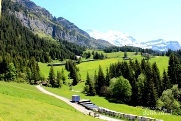 Bermain Salju Abadi di Pegunungan Alpen Swiss 